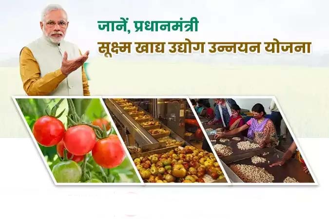 किसानों के लिए खुशी की खबर! प्रधानमंत्री सूक्ष्म खाद्य प्रसंस्करण उद्योग योजना 2024